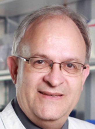 Uwe Gerd Liebert