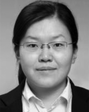 Wenwen Qi