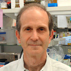 Harris D. Bernstein
