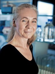 Bettina Blaumeiser
