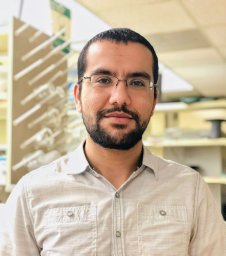 Abdelrhman Mohamed