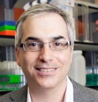 Mark Siegal