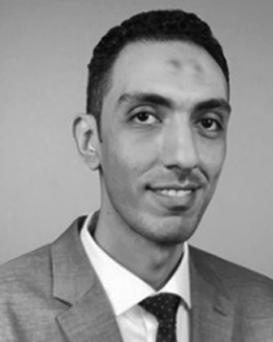 Abdelrahman E. E. Eltoukhy