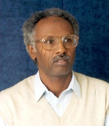 Mohamed E Elzain