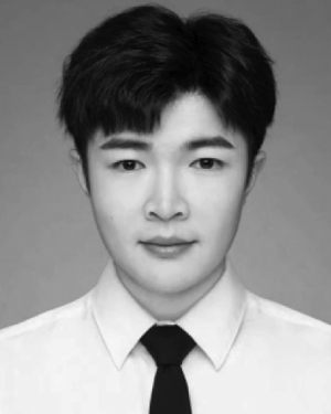 Wendie Han