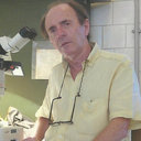 Jose Jurberg