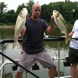 Luke Etchison