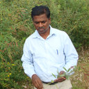 M. Byre Gowda