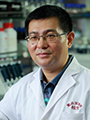 Wei Li