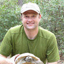 Stephen F Spear
