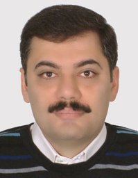 Amir H. Shamekhi
