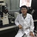 Lei Yang