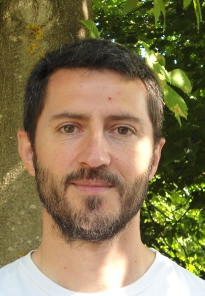 David Ferreira