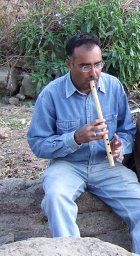 Rameez-Ul-Islam