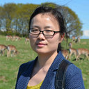 Ying Ge