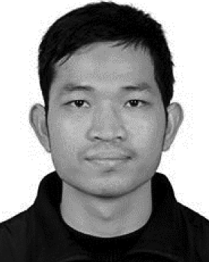Viet Q. Vu