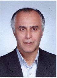 Mohammad Hossein Alimohammadian