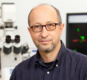 Ralf Peter Jansen