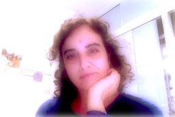 Silvia Maria Arcuri