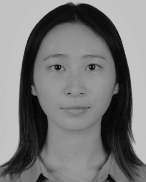 Huaizhen Wang