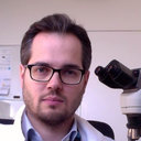 Laurent Jallades