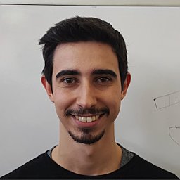 Daniel Bujosa