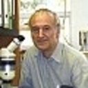 Hans-Willi Honegger