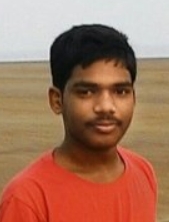 Bikash K. Behera