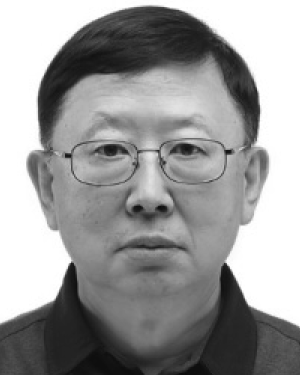 Vladimir I. Shin