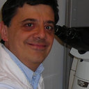Francesco Dotta