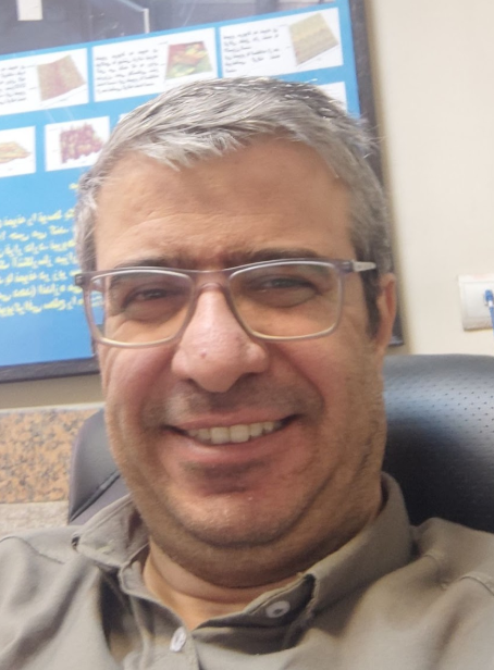 Mehdi Neek-Amal