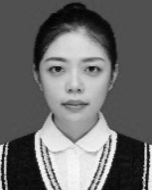 Xin Cheng