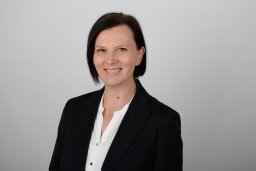 Mihaela C Falub