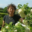 Franca Persia