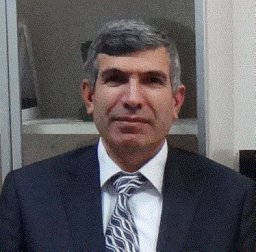 Hamit Acemoglu
