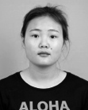 Ping Fang