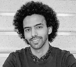 Mohannad Alahmadi