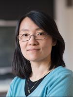 Mei Hong