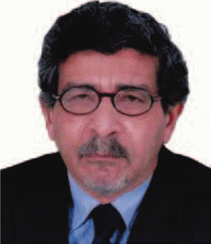 Amr A. Abdel Fatah