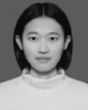 Shanshan Wei