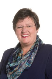 Sheryl L Hendriks