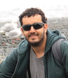 Vitor Q. Piacentini