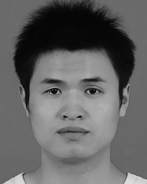 Haichao Wei