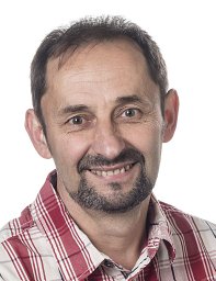 Andrey V. Korolev