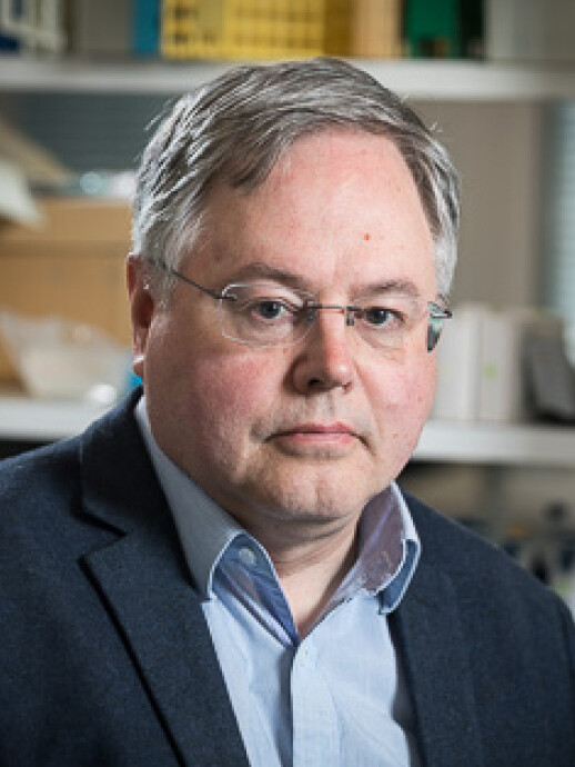Jyrki Heino