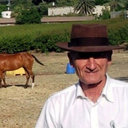 Reuven Reuveni