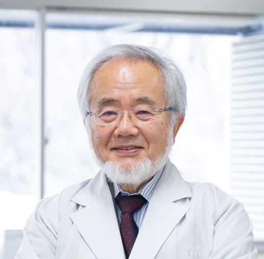 Yoshinori Ohsumi