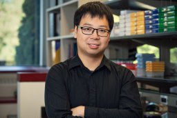 Yang Zhao