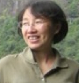 Ping Zhu