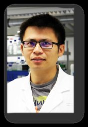 Lin Neng-Yu